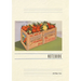 Vintage Lined Notebook Florida Greetings, Orange Crate