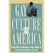 Gay Culture in America: Essays from the Field