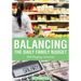 Balancing the Daily Family Budget Bill Paying Journal