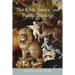 The Bible, Justice, and Public Theology