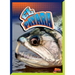 El Payara