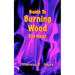 Guide To Burning Wood For Heat