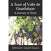 A Tour of Valle de Guadalupe: A Journey of Wine