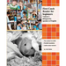 First Czech Reader for beginners, Volume 2: bilingual for speakers of English