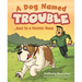 A Dog Named Trouble...Goes to a Forever Home