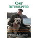 Chef Interrupted
