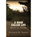 A Road Called Life: Book of Poems
