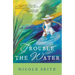 A Trouble the Water