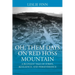 Oh' Them Days on Red Hoss Mountain: A Buoyant Tale of Strife, Resilience, and Perseverance