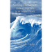 Surfing the Chaos How to Stay Sane in an Insane World