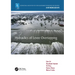 Hydraulics of Levee Overtopping