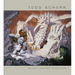 Never Lasting Miracles: The Art of Todd Schorr