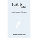Just b today: Small Pauses. BIG Calm.