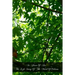 St. Joan Of Arc The Life Story Of The Maid Of Orleans