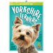 Yorkshire Terriers