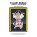 Ireland's Belleek: A Collector's Reference Guide