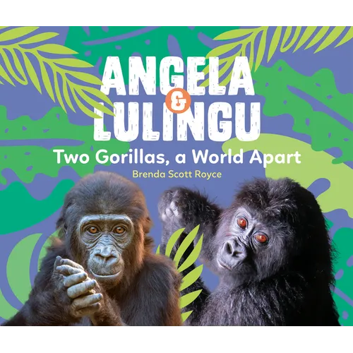 Angela & Lulingu: Two Gorillas, a World Apart