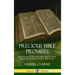 Precious Bible Promises: Blessings in Scripture Pledged to True Believers in God's Glory and Word (Hardcover)
