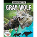 Bringing Back the Gray Wolf