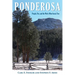 Ponderosa