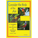 Consider the Birds of the Air