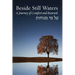 Beside Still Waters: A Journey of Comfort and Renewal