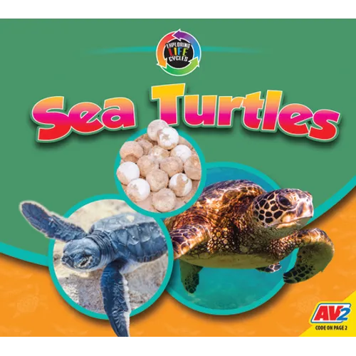 Sea Turtles