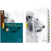 NLT Courage for Life Study Bible for Men, Filament Enabled (Hardcover, Indexed)