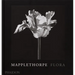 Mapplethorpe Flora: The Complete Flowers