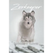 Zookeeper: A timeless free verse poem that encourages us to view our lives with the patterns found in nature.