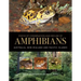 Status of Conservation and Decline of Amphibians: Australia, New Zealand, and Pacific Islands