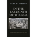 In the Labyrinth of the KGB: Ukraine's Intelligentsia in the 1960s-1970s