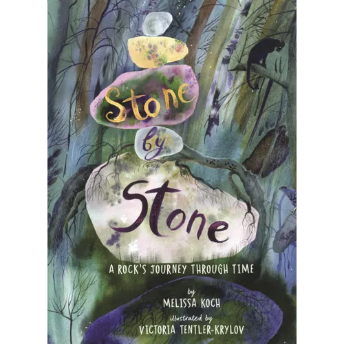 Stone by Stone: A Rock's Journey Through Time