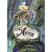 Stone by Stone: A Rock's Journey Through Time