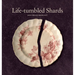 Life-Tumbled Shards