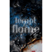 Tempt the Flame: A Standalone Dark Romance