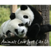 Animals Love Just Like Us