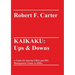 Kaikaku: Ups & Downs: A Guide for Interim CROs and DIY Management Teams in SMEs.