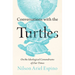 Conversations with the Turtles