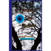 Miracles and Wonders: 5 Short Fictions