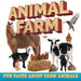 Animal Farm: Fun Facts About Farm Animals
