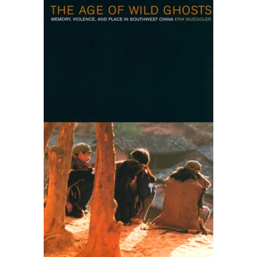 The Age of Wild Ghosts: Memory, Violence, and Place in Southwest China