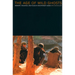 The Age of Wild Ghosts: Memory, Violence, and Place in Southwest China