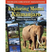 Exploring Mount Kilimanjaro: Africa's Highest Peak