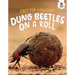 Dung Beetles on a Roll