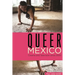 Queer Mexico: Cinema and Television Since 2000