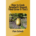 How to Cook Spaghetti Squash (And Grow It Too!)