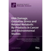 DNA Damage, Oxidative Stress and Related Metabolic By-Products in Cancer and Environmental Studies