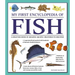 My First Encyclopedia of Fish: A Great Big Book of Amazing Aquatic Creatures to Discover