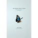 The Butterfly Effect of Grace